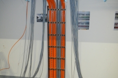 Z41